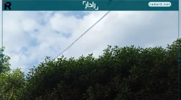 رقصة نوفمبر.. مشهد الطيور وهي تجسد إعجاز الخلق بلغة الإيمان تحت السماء.